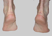 Tip Toes showing Inversion