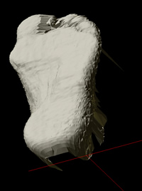 Foot Laser Scan - 3D model of Left foot 