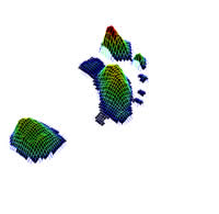 Gaitscan 3D image of foot