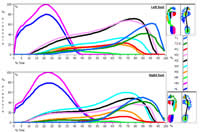 Gaitscan Graph Analysis Report